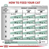 Royal Canin Cat Diabetic Pouch Wet 12x85g - thumbnail