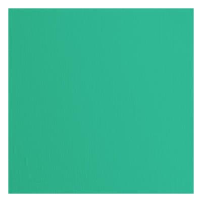 Florence • cardstock papier 216g textuur 30,5x30,5cm sage 20x