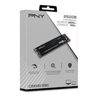 Hard Drive PNY M280CS1030-250-RB - thumbnail