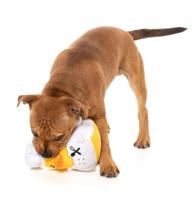 Fuzzyard duck gordon quacksay pluche - thumbnail