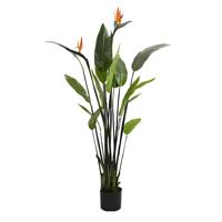Strelitzia met bloem 120 cm kunstplant Buitengewoon de Boet - Buitengewoon de boet - thumbnail