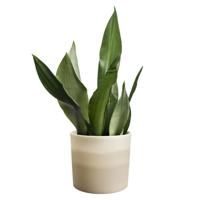 Elho colour gradient round 18 zandsteen beige - thumbnail