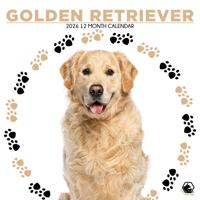 Golden Retriever Kalender 2026 - thumbnail