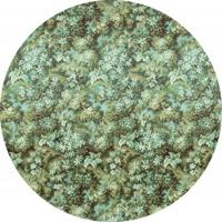 Greenery Zelfklevende Behangcirkel ⌀125cm - thumbnail