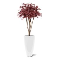 Acer deluxe kunstboom op stam 130cm - burgundy - thumbnail
