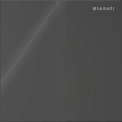 Bedieningsplaat Geberit Type 40 230V Square Zwart