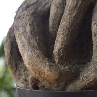 Panda Bonsai kunstboom 55cm - thumbnail