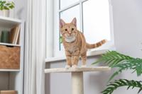 TRIXIE KRABPAAL BAENA BEIGE 69 CM - thumbnail