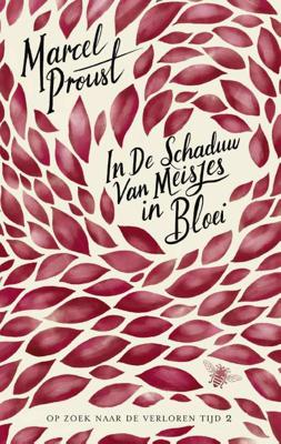 In de schaduw van meisjes in bloei (Paperback)
