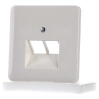 JUNG INZETPLAAT RJ45 UEA8 CD500 creme 569-2UA - thumbnail
