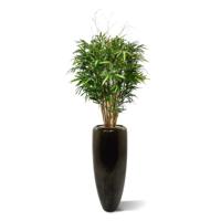 Royal Bamboe XL deluxe kunstboom 130 cm - thumbnail