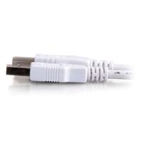 C2G 1M USB-printerkabel, USB 2.0 A naar B-kabel. Compatibel met printers en scanners van HP, Epson, Brother, Samsung, Cannon en alle andere USB A/B-apparaten, Zwart - thumbnail