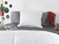 Sannwald Donzen hoofdkussen (70 x 80 cm) - thumbnail