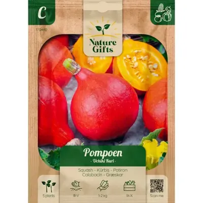 Pompoen uchiki kuri 5st