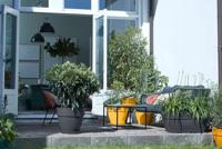 Elho Vibia Campana schaal rond 34 cm honinggeel - thumbnail