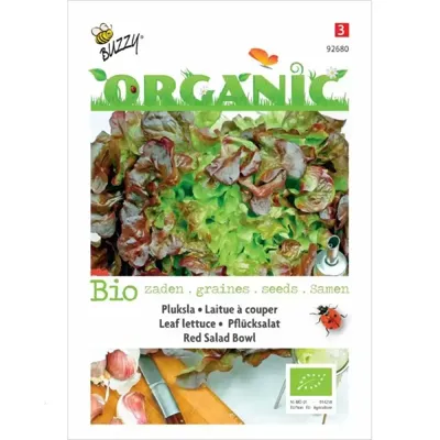 Zaden Organic Pluksla Red Salad Bowl (BIO) Buzzy - Buzzy