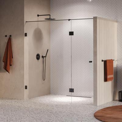 BRAUER Void Carving nisdeur 2-delig helder glas 200x200 omkeerbaar met draaideur 70 aan glas incl. glascoating PVD gunmetal geborsteld BRAUER Void Carving nisdeur 2-delig helder glas 200x200 omkeerbaar met draaideur 70 aan glas incl. glascoating PVD gunmetal geborsteld