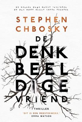 De denkbeeldige vriend - Stephen Chbosky - ebook