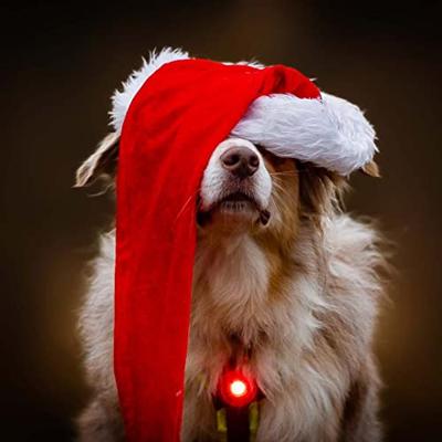 Orbiloc veiligheidslampje Dog Dual, rood