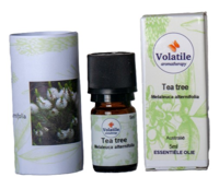Volatile Tea Tree - thumbnail