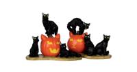 Lemax halloween cats s/2 halloween figuur Spooky Town 2011 - thumbnail
