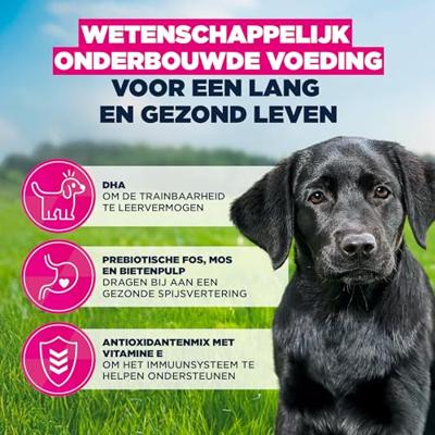 Eukanuba Puppy Large kip hondenvoer 2 x 15 kg