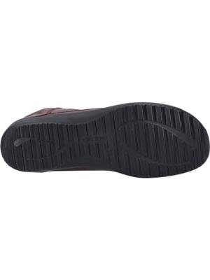 Josef Seibel NALY 09 - alle