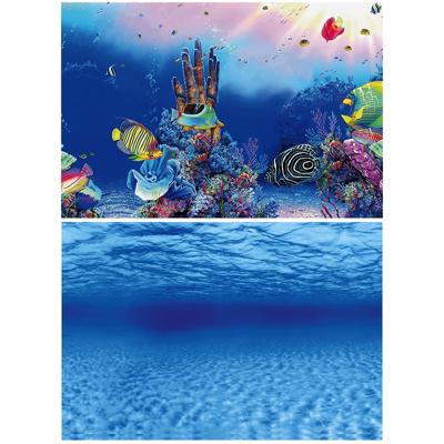 Deco Poster F3 100X49 Cm aquaria Superfish - Superfish Deco Poster F3 100X49 Cm aquaria Superfish - Superfish