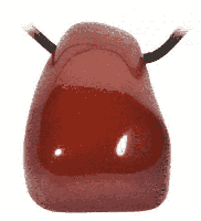 Jaspis Rood Trommelsteen Hanger Geboord - thumbnail