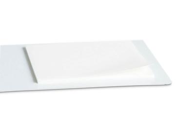 Maul Magneetstrip 6206002 (l x b) 50 cm x 5 cm Wit