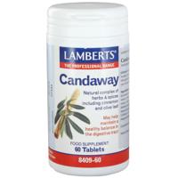 Candaway - thumbnail