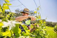 Gereedschap Stocker 36 x 36 cm Handenbinder - thumbnail