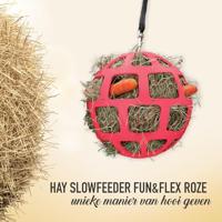 Hay Slowfeeder fun and flex 22 cm Roze Bal - thumbnail