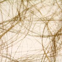 Vaessen Creative • sizoweb 60cmx25m lichtgoud - thumbnail