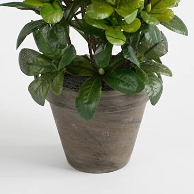 Decoratieve plant Mica Decorations 11,5 x 27 x 20 cm