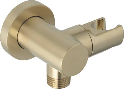 Ben muuraansluiting met handdouchehouder geborsteld messing pvd