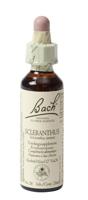 Bach Flower Remedies Hardbloem 28 - thumbnail