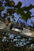 Lutec Solar wandlampArrow antraciet - 6910601335 - thumbnail