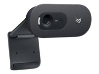 Webcam Logitech C505e HD 720P Zwart - thumbnail