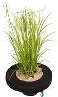 Drijvend planteneiland 25 cm Velda - Velda - thumbnail