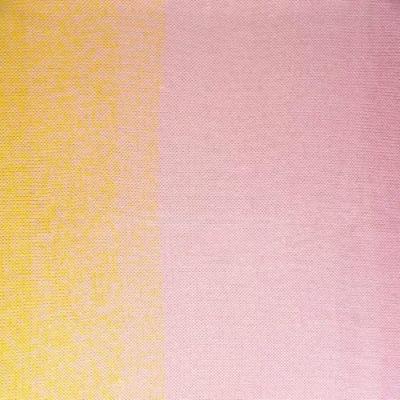 Scheepjes Whirl - 796 Meringue Serenade