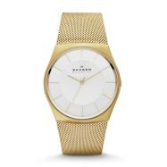 Horlogeband Skagen SKW6069 Staal Doublé 28mm Horlogeband Skagen SKW6069 Staal Doublé 28mm