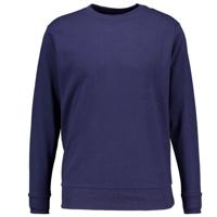 Sweater - Blauw - thumbnail