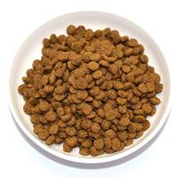 FARMINA N&D Pumpkin Cat Quail and Pomegranate Neutered Adult - droog kattenvoer - 300 g - thumbnail