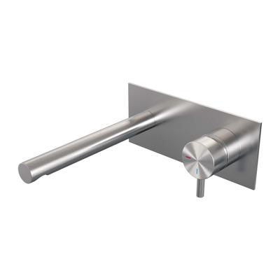 Brushed Edition inbouw wastafelmengkraan met rechte uitloop en afdekplaat, model B1 RVS geborsteld PVD