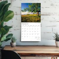 The Majesty of Trees Kalender 2026 - thumbnail