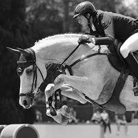 Veredus Carbon Gel Absolute Peesbeschermers zwart maat:l - thumbnail