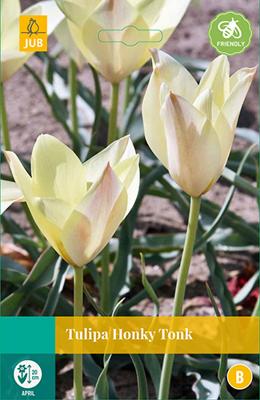 Tulp honky tonk 10 bollen