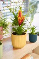 Vibes Fold Rond 16 - Elho - thumbnail