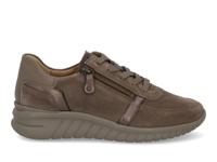 Hartjes 162.2401/31 - alle - thumbnail